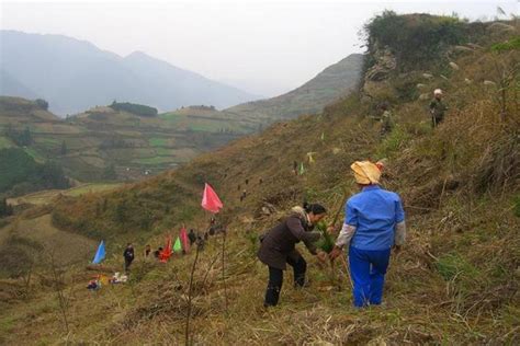 貴州山區植物有哪些 可以說是生態保育的重要課題